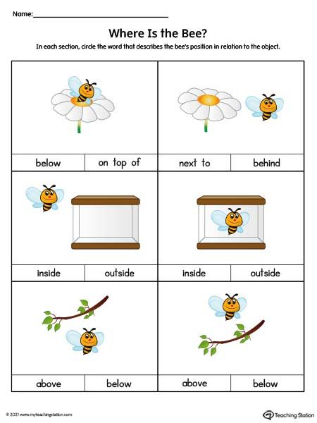 Positional Words Worksheet: On Top Of, Next To, Behind, Inside, Outside, Above, Below (Color) Worksheet.Use the correct positional word to describe the position of the bee in this preschool positional word worksheet. Positional Words Worksheet, Preschool Math Curriculum, Positional Words, Kindergarten Math Worksheets Addition, Counting Activities Preschool, Occupational Therapy Kids, Insect Activities, Basic Math Skills, Math Printables