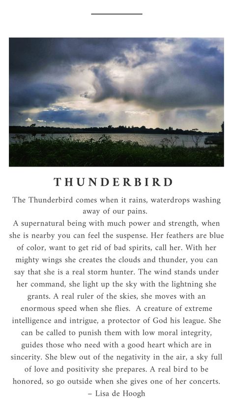 A Thunderbird crossed by as she flies in the sky, with colours of blue, gray and white. Thunderbird Meaning, Thunderbird Mythology, Crow Facts, Thunderbird Tattoo, Writing Villains, Bad Spirits, Native American Wisdom, Villain Quote, Villain Character