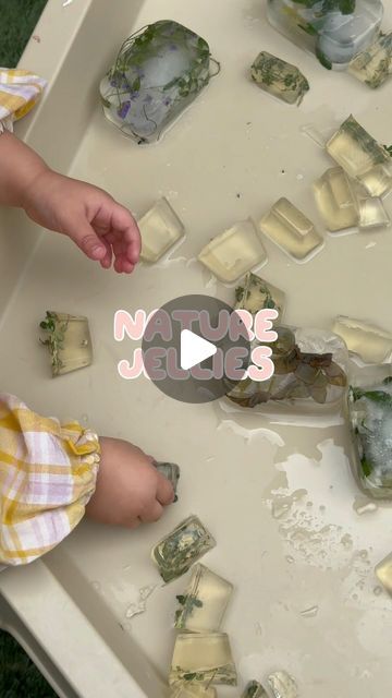 CU @ PLAYTIME on Instagram: "LETS MAKE NATURE JELLIES! 🍃   If you came to CU @ Playtime this morning, you would’ve seen nature jellies in the sensory table outside, alongside frozen blocks of ice containing flowers and leaves! It was the cleanest ‘messy’ sensory yet!  To make them, pop down to @woolworths_au and grab some gelatine powder. The ratio I used was four tablespoons of powder, to 2 cups of water. Using those ratios, following the instructions on the back of the container.   I think you could easily shake this activity up with different ‘mix-ins’. Fruit? Toys?   Follow along for more easy & affordable activities for babies and toddlers!  . . . . #SensoryPlay #DIYsensory #PlaygroupFun #KidsCrafts #MessyPlay #CreativeKids #ToddlerActivities #SensoryBins #MontessoriPlay #PlayBasedLe Activities For Babies, Sensory Table, Messy Play, Sensory Bins, Sensory Play, Infant Activities, Creative Kids, Flowers And Leaves, 2 Cups