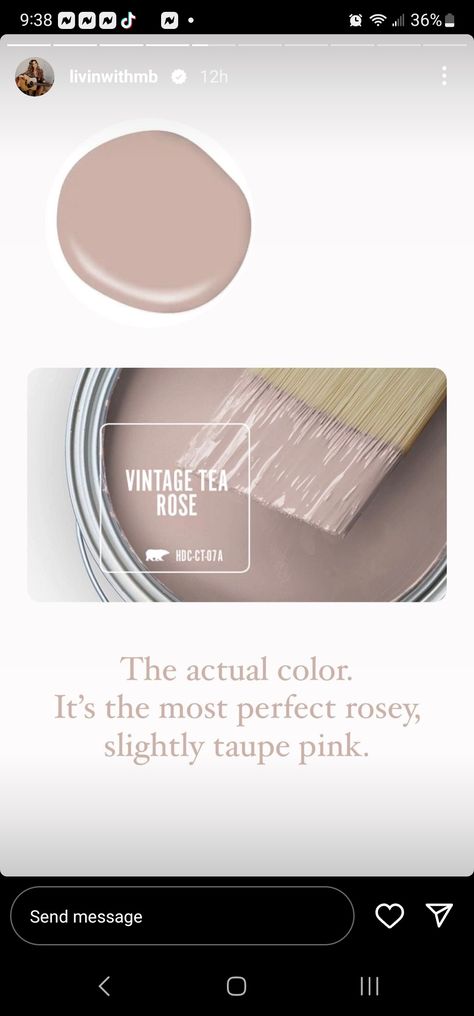 Pink Stairway Walls, Dusty Rose And Mauve Nursery, Behr Light Mauve Paint Colors, Blue And Pink Laundry Room, Cool Pink Paint Color, Mauve Salon Decor, Mauve Pink Paint Colors Behr, Dusty Pink And Gold Nursery, Light Dusty Pink Paint Color