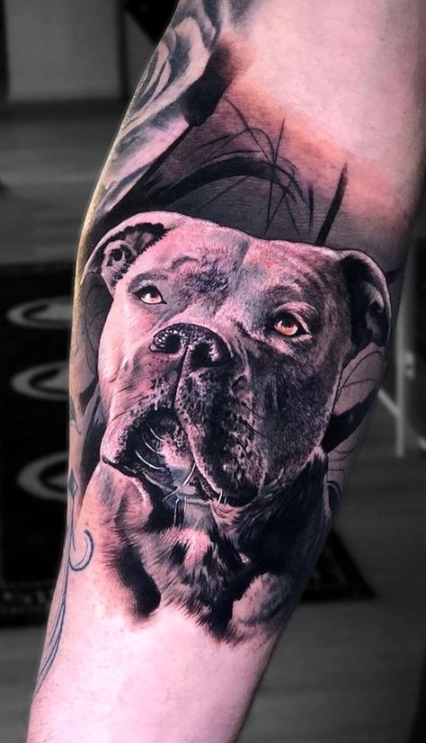 Og Tattoos, Tehran Tattoo, Pet Portrait Tattoos, Dog Portrait Tattoo, Tattoo Style Art, Pitbull Tattoo, Tattoos For Dog Lovers, Dog Memorial Tattoos, Portrait Tattoos