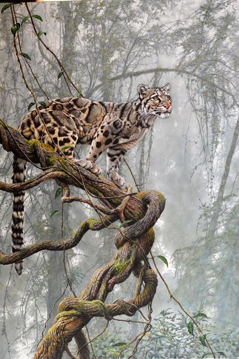 Cloud Walker original painting by Alan M Hunt, Clouded Leopard #alanmhunt #wildlife #wildlifeart #wildlifeartist #leopard #cloudedleopard Leopard Artwork, Cloud Walker, Leopard Painting, Regnul Animal, Leopard Art, Clouded Leopard, Big Cats Art, Wildlife Paintings, Wildlife Artists