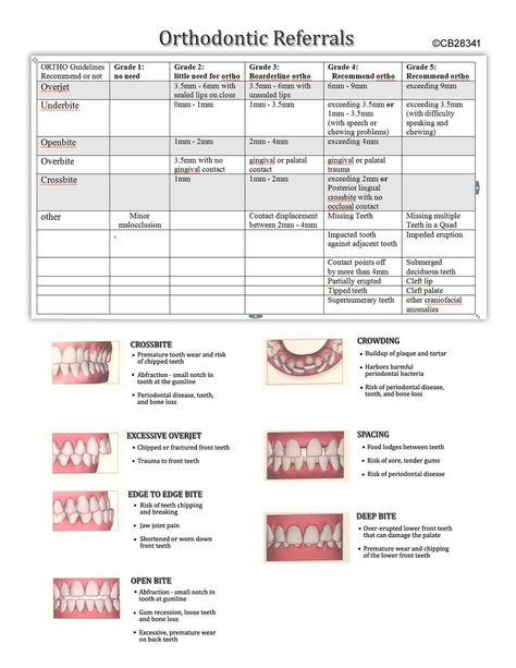 Study Notes Printable, Study Notes Aesthetic, Dental Terminology, Teeth Hygiene, Dental Assistant School, Dental Health Week, Study Exam, Hygiene School, Dental Assistant Study