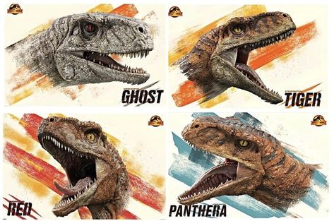 Jurassic world dominion Jurassic World Atrociraptor, Imprimibles Jurassic Park, Dino Squad, Jurassic World Raptors, Zoo Boo, Blue Jurassic World, Red Hood Comic, Jurassic World 2, Dinosaur Movie