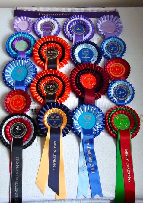 Use our Rosette Display Hanger to display your Dog Agility Competition Rosettes .  Hand crafted to order from a durable  mesh so  its easy to pin or clip Your Rosettes   Choose your ribbon colour , choice of 5, Decide the text you would like printed on the ribbon and place your order visit www.displayyourrosettes.com Dog Show Ribbons, Rosette Display, Show Ribbon Display, Ribbon Display, Vision Board Photos, Hobby Horse, Dog Agility, Horse Stuff, Dog Show