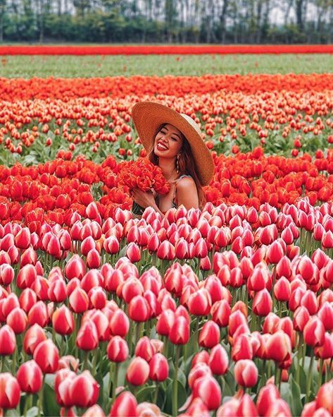 1m Followers, 314 Following, 1,448 Posts - See Instagram photos and videos from Tara Milk Tea (@taramilktea) Types Of Tulips, Spring Photoshoot, Sunflower Pictures, Flower Photoshoot, Tulip Festival, Tulips Garden, Farm Photo, Tulip Fields, Peonies Garden