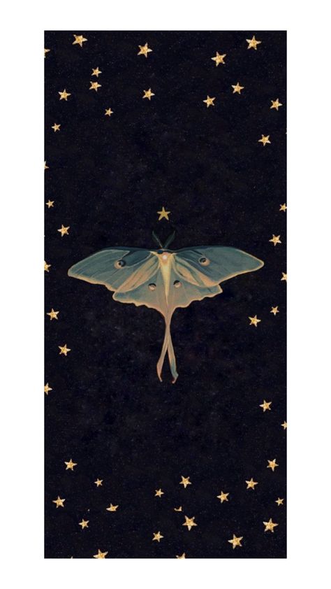 Luna Moth Wallpaper, Moth Wallpaper, Moth Art, Luna Moth, Moth, Art