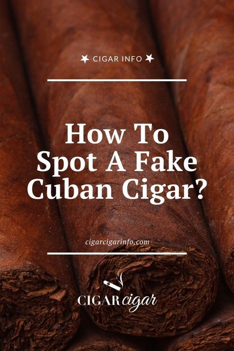 Partagas Cigars, Backwoods Cigars, Famous People With Cigars, Cuban Cigars, Pipes And Cigars, Villiger Cigars, Cocktail Desserts, Cigars, Reading