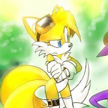 Sonic The Hedgehog Tails, Adventure Time Girls, Shadow And Amy, Amy The Hedgehog, Rule 63, Silver The Hedgehog, Sonic And Amy, Sonic Funny, Sonic Fan Characters