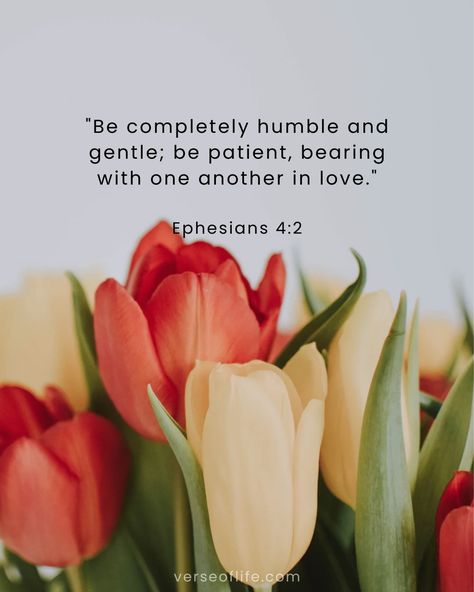 In a fast-paced world that often prioritizes self-interest, this verse serves as a powerful reminder to approach others with a heart of humility, gentleness, and patience. When we choose to love others deeply, even in challenging moments, we reflect Christ's love to the world. 💖✨ Today, let us strive to embody these qualities in our interactions with others. Whether it's a family member, friend, or stranger, let's extend grace, practice active listening, and respond with kindness. 🌿🤗 Share th... Happy Scripture, Family Bible Verses, Verses About Love, Bible Verses About Love, Beautiful Bible Verses, Active Listening, Bible Words, Love Others, Fast Paced