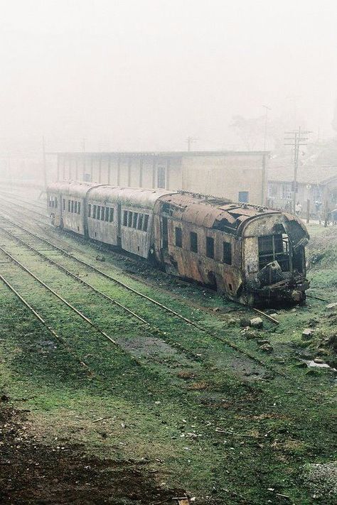 Urban Exploring, Abandoned Train, Old Trains, Abandoned Cars, Haunted Places, Train Tracks, Abandoned Buildings, Abandoned Houses, Dieselpunk