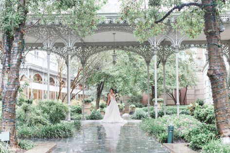 Hotel Crescent Court Dallas, Hotel Crescent Court Wedding, Dallas Elopement, Dallas Garden, Elegant Backdrop, Dallas Wedding Venues, Wedding Hotel, Wedding Painting, Fort Worth Wedding