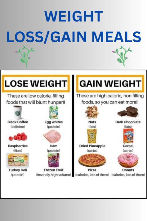 Weight loss meals are carefully portioned and nutrient-densepromoting calorie deficit for shedding pounds effectively.Weight gain meals are rich in calories and protein to support muscle growth and increased body mass. Gain Meals, Gain Weight Smoothie, Fiber Cereal, Cheap Meal Plans, Weight Gain Supplements, Weight Gain Meals, Food Motivation, Dried Pineapple, Magnesium Benefits