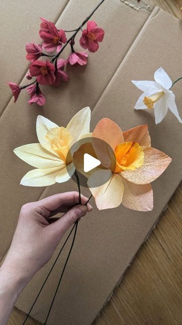 Crepepaperflower Diy, Crepe Paper Art, Rory Birthday, Flower Crepe Paper, Ideas Casamiento, Daffodil Craft, Giant Paper Flower Tutorial, Crepe Paper Flowers Tutorial, Paper Flower Crown