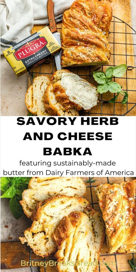 savory herb and cheese babka Cheese Babka Recipe, Cheese Babka, Babka Bread, Brioche Dough, Babka Recipe, Baked Recipes, Savory Herb, Savoury Baking, Bread Machine Recipes