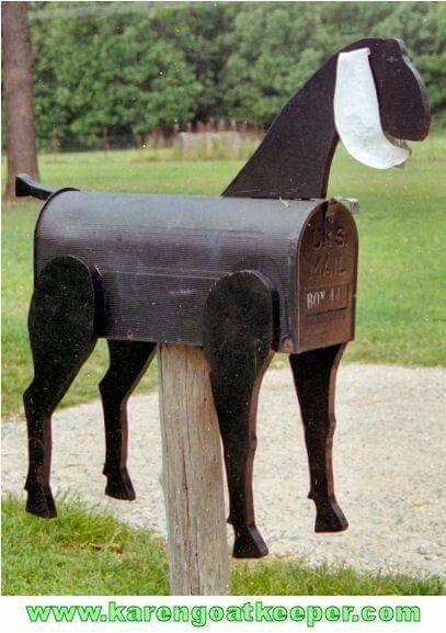 Goat Mailbox Ideas, Goats Playground, Goats House, Goat Signs, Goat Decor, Goat Playground, Mailbox Makeover, Goat Pen, Show Goats