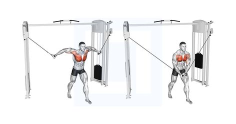 Gym Back Workout, Dumbbell Fly, Cable Workout, Muscle Definition, Chest Fly, Six Pack Abs Workout, Cable Machine, Chest Muscles, Shoulder Muscles