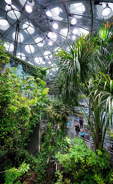 This is the Osher Rainforest by Renzo Piano. I chose it because remember going every year and being absolutely stunned by the gorgeous design of this giant dome thast holds so much life and beauty. Academy Of Science San Francisco, Science Sans, California Academy Of Sciences, Renzo Piano, Futuristic Interior, Golden Gate Park, Dome House, San Francisco Travel, Tropical Rainforest