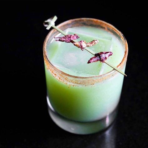 10 riquísimos cócteles con mezcal (¡Y dónde ir a tomarlos!) Edible Bugs, Hey Bartender, Mezcal Cocktails, Green Chartreuse, Mexican Party, Avocado Green, Mexican Restaurant, Mixology, Cocktail Recipes