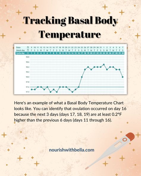 Family Planning Methods, Natural Family Planning Methods, Basal Body Temperature Chart, Natural Birth Control, Fertility Tracking, Fertility Awareness Method, Monthly Cycle, Ovulation Tracking, Natural Family Planning