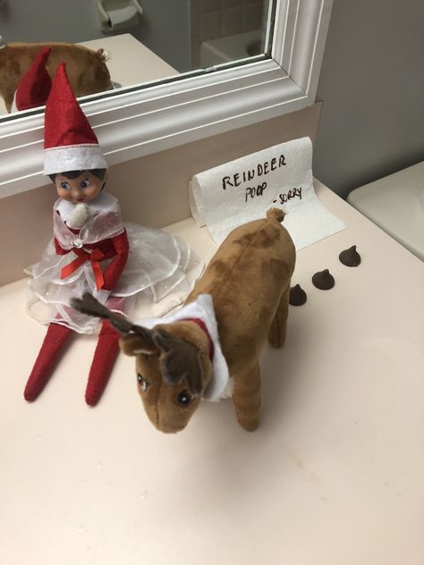 Elf On Shelf With Reindeer Ideas, Arctic Fox Elf On The Shelf Ideas, Elf On Shelf Reindeer Ideas, Elf On Shelf Pet Ideas, Elf And Pet Ideas, Elf Pets Ideas, Elf On The Shelf Ideas With Reindeer Pet, Elf On The Shelf Pet Ideas, Elf 2024