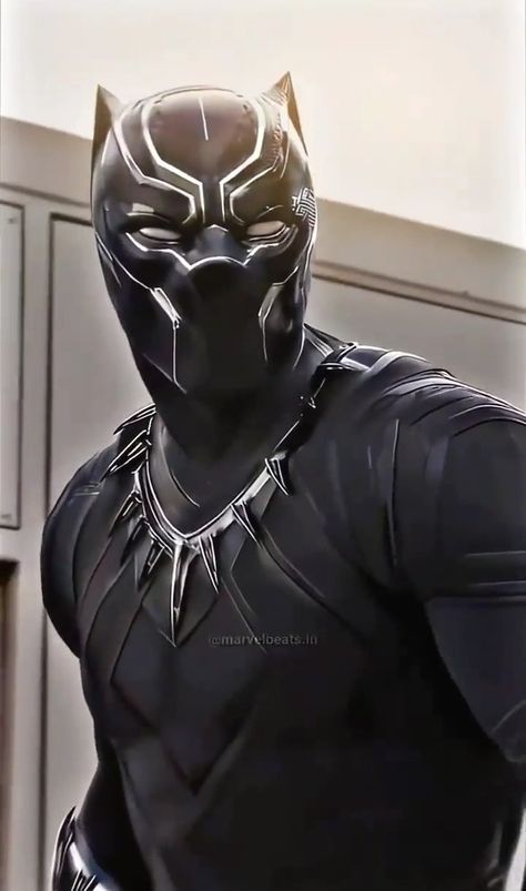 Avengers Black Panther, Black Panther King, Black Panther Chadwick Boseman, 2025 Ideas, Batman Concept, Superman Movies, Batman Birthday Party, Black Panther Art, The Black Panther