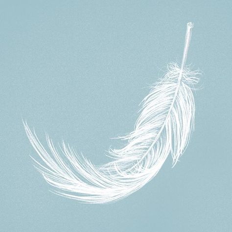 Feather Illustration Design, Feather Aesthetic, Psd Aesthetic, Feather Symbolism, Feather Icon, Aesthetic Tumblr Backgrounds, Vip Ticket, Feather Illustration, Feather Drawing