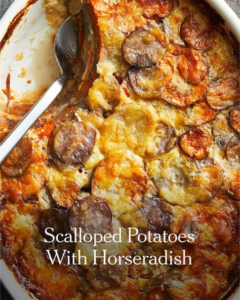 Horseradish Recipes, Horseradish Cream Sauce, Horseradish Cream, Purple Potatoes, Thanksgiving Dishes, Green Bean Casserole, Thanksgiving Sides, Scalloped Potatoes, Gravy Recipes