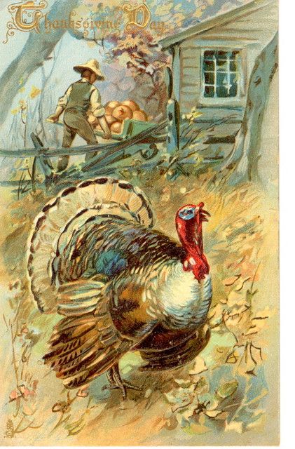 Vintage Thanksgiving Postcard Vintage Fall Images, Victorian Thanksgiving, Old Fashioned Thanksgiving, Vintage Thanksgiving Cards, Thanksgiving Vintage, Happy Thanksgiving Turkey, Turkey Art, Thanksgiving Time, Weird Vintage