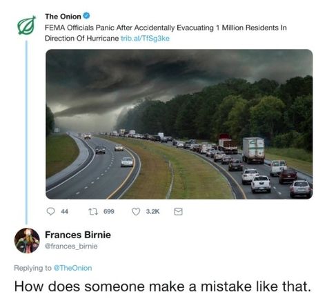 29 People Who Ate The Onion - Wow Gallery The Onion Headlines, Onion Headlines, Mouth Breather, The Onion, Weird News, Seriously Funny, Memes Funny, Funny Pics, Satire