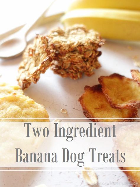 These 2 ingredient banana dog treats are quick to make with just two ingredients - banana & rolled oat or banana & semolina - they are sure to please your dog. The banana dog treats are so good you might just eat them yourself! Dog Cookies With Banana, Banana Oat Dog Treats, Ginger Treats, Dog Gravy, Banana Dog Treat Recipe, Banana Dog Treats, Homemade Dog Cookies, Banana Treats, Doggy Treats