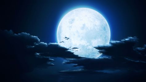 Anime Moon, Calming Pictures, Blue Demon, Scene Background, Scenery Background, Green Screen Video Backgrounds, Blue Anime, Entertainment District, Simple Background Images