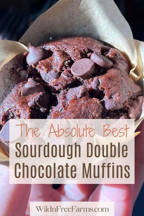 double chocolate sourdough muffins Peanut Butter Sourdough, Double Chocolate Muffin Recipe, Chocolate Peanut Butter Muffins, Chocolate Sourdough, Sourdough Muffins, Delicious Muffins, Chocolate Zucchini Muffins, Peanut Butter Muffins, Chocolate Muffin Recipe