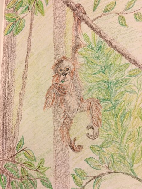 Prismacolor sketch of a monkey in a tree. Monkey On Tree Drawing, Jungle Drawing, Monkey Drawing, Jungle Tree, Tree Sketches, A Monkey, Baboon, Tree Drawing, Animal Sketches