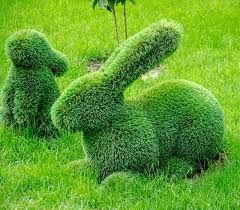 Animal Topiary, Outdoor Topiary, Grass Design, Hare Rabbit, Garden Desig, Topiary Garden, Green Animals, Green Lawn, Public Garden