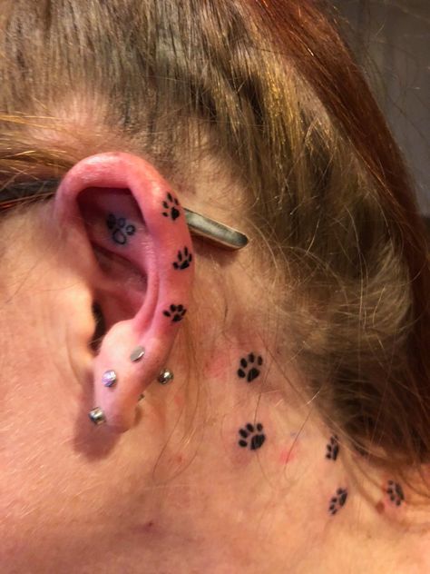 2/10/18 added paw prints to the outside of my ear... Tattoo, paws start at my shoulder, along my back and up my neck, with two other tattoos. Paw Prints Behind The Ear Tattoo, Behind The Ear Paw Print Tattoo, Paw Print Shoulder Tattoo, Paw Print Back Tattoo, Behind Ear Tattoo Paw Print, Paw Print Ear Piercing, Tattoo Ear, Behind The Ear Tattoo, The Ear