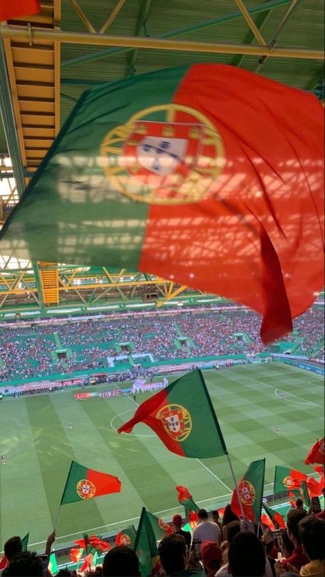 Portugal Bucket List, Cr7 Portugal, Portuguese Flag, Portugal Soccer, Portugal Flag, Cristiano Ronaldo Portugal, Portugal Beach, Braga Portugal, Portuguese Culture