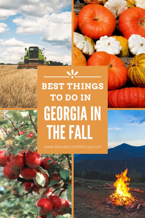 Explore Georgia's best fall traditions using this guide! #exploregeorgia #travelblogger #explorewithme Things To Do In Georgia, Fall Traditions, Southern Usa, Travel Georgia, Best Pumpkin Patches, Autumn Travel, Visit Georgia, Visit Savannah, Atlanta Botanical Garden