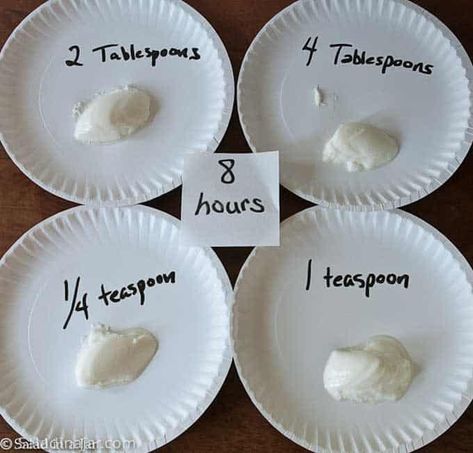 How Much Yogurt Starter Should You Use to Make Yogurt? Yogurt Starter, Yogurt Recipes Healthy, Homemade Yogurt Recipes, Make Your Own Yogurt, Make Greek Yogurt, Instant Pot Yogurt, Homemade Greek Yogurt, Ip Recipes, Making Yogurt