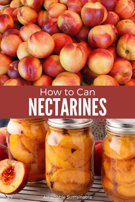 Discover how to can nectarines in light syrup with this simple, step-by-step guide. Preserve the vibrant flavors and colors of your homegrown nectarines, and enjoy their sweet goodness throughout the year. Your taste buds will thank you! Preserve Nectarines, How To Can Nectarines, Preserving Nectarines, Canned Nectarines, Nectarine Preserves, Canning Nectarines, Attainable Sustainable, Food Canning, Survival Preparedness