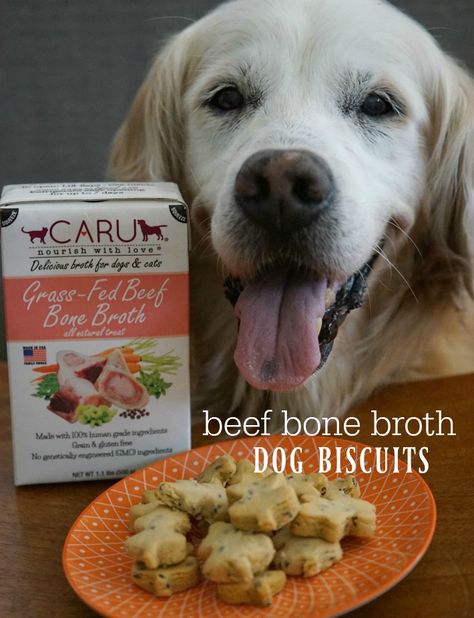 beef bone broth dog biscuits Recipe With Beef Broth, Bone Broth For Dogs Recipes, Broth Dog Treats, Bone Broth Dog Treats, Beef Bone Broth For Dogs, Bone Broth Dogs, Carrot Bone Broth Dog Treat, Dog Biscuit Recipe, Recipe With Beef