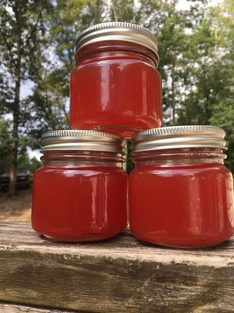 Watermelon Jam, Homemade, Jams, Jellies, Unusual, Summer in a jar, Recipe, Southern, Canning, Preserve Watermelon Canning Recipes, Watermelon Jelly Recipe, Watermelon Rind Preserves, Jams And Jelly Recipes, Watermelon Rind Pickles, Muscadine Jelly, Diy Jam, Watermelon Jam, Pickled Watermelon