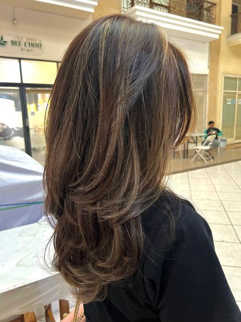 #hair#layeredhair#hairinspo Hair Caramel Highlights, Long Hair V Cut, Hair Caramel, Brown Hair Inspiration, Beautiful Brown Hair, Hair Color Pictures, Brown Hair Looks, Brown Hair Inspo, Hair Inspiration Short