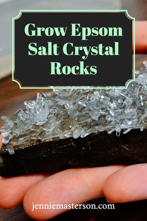 Crystal Growing Experiment, Growing Epsom Salt Crystals, Grow Your Own Crystals Diy, Grow Crystals On Objects, Salt Crystal Experiment, Crystal Growing Science Fair Project, Alum Crystals How To Grow, Making Crystals With Kids, Grow Crystals For Kids