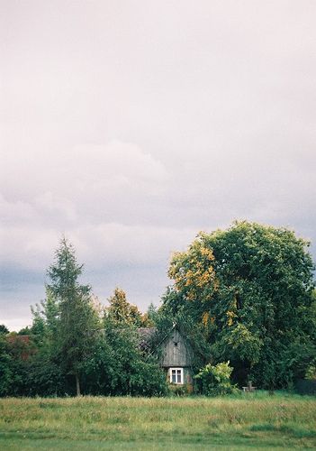 House In A Field, Cabins And Cottages, Abandoned Houses, Where The Heart Is, House In The Woods, Abandoned Places, Country Life, In The Woods, My Dream Home