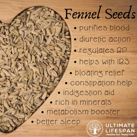 Fennel Herb Benefits, Fennel Seed Tea Benefits, Fennel Benefits Women, Anise Tea Benefits, Fennel Tea Benefits, Fennel Seed Tea, Fennel Benefits, Fennel Seeds Benefits, Benefits Of Fennel