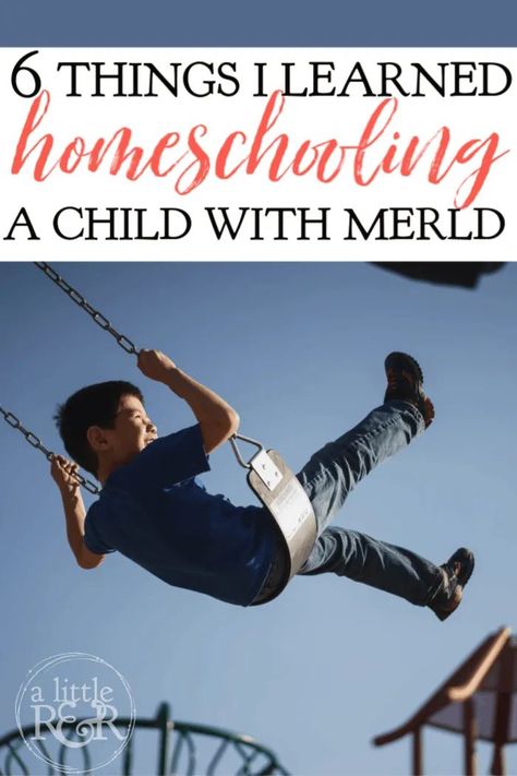 MERLD stands for Mixed Expressive-Receptive Language Disorder. Here are six things I've learned homeschooling a child with MERLD. #alittlerandr #MERLD #langaugedisorder #homeschool #specialneedshomeschooling Mixed Receptive Expressive Disorder, Mixed Expressive Receptive Language Disorder, Adoption Books, Maths Day, Language Delay, Homeschooling Tips, Language Disorders, Social Cues, Receptive Language