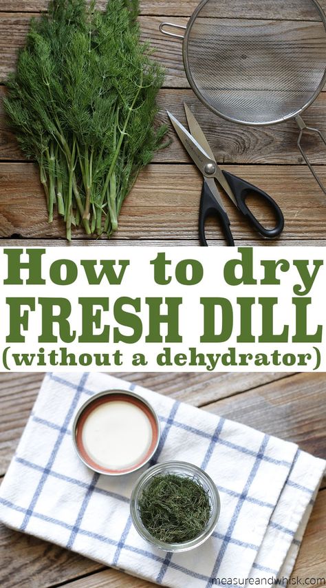 Preserve Fresh Herbs, Drying Fresh Herbs, Dill Recipes, Preserving Herbs, Herb Recipes, Drying Dill, Dehydrated Food, Garden Recipes, Spices And Herbs