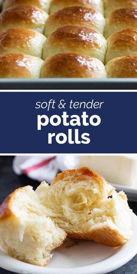 Super soft and buttery, these Potato Roll are quickly becoming a staple! Mashed potatoes are the secret ingredient that make these rolls super soft for days after they’ve been made. Potato Buns Recipe Dinner Rolls, Potato Rolls Recipe Mashed, Mashed Potato Bread, Potato Buns Recipe, Potato Bread Rolls, Potato Dinner Rolls Recipe, Potato Dough, Survival Recipes, Potato Rolls Recipe