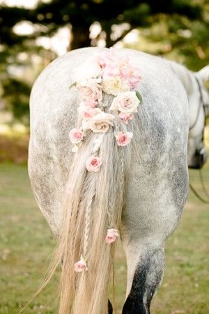 Pretty equestrian touches for a lovely country wedding! Arte Haida, Horse Braiding, Equestrian Wedding, Tail Braids, Horse Wedding, Horse Mane, Horse Tail, All The Pretty Horses, Foto Tips